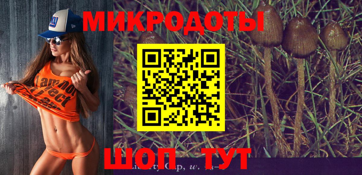 Галлюциногенные грибы Cubensis Красноярск