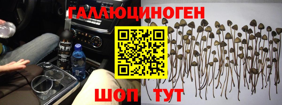 Псилоцибиновые грибы прущие грибы  Вход с VPN  Красноярск 