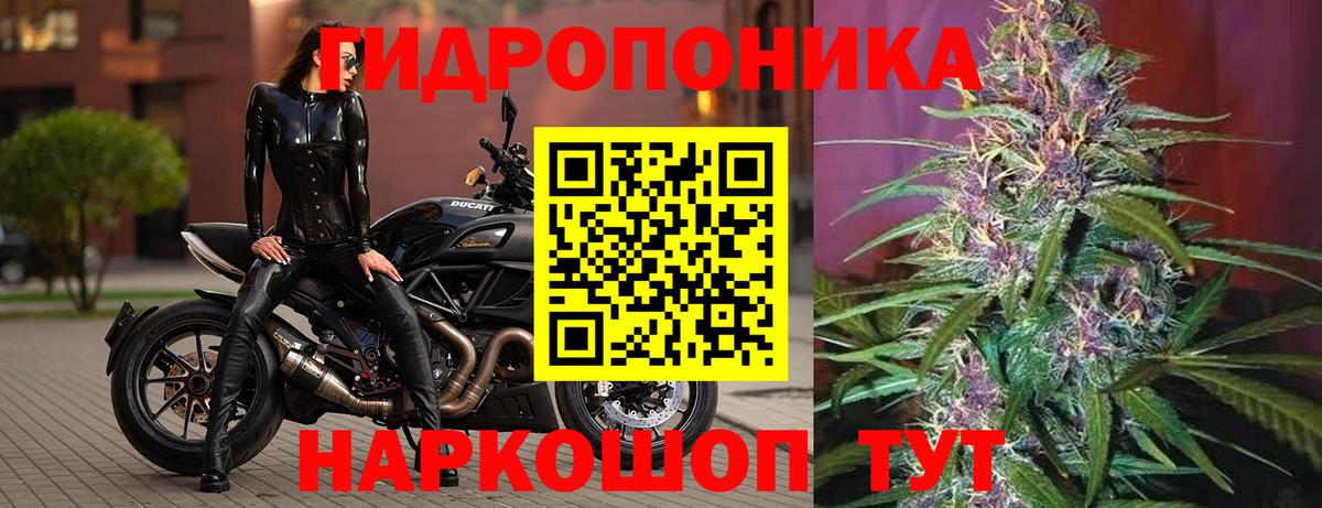 Канабис индика  Вход с VPN  Красноярск  Канабис индика 